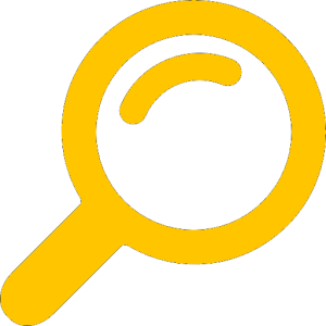 Audit